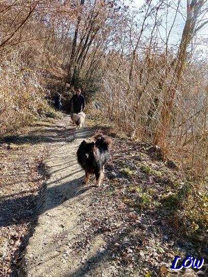 29.12.2025 - Den Berg hinauf